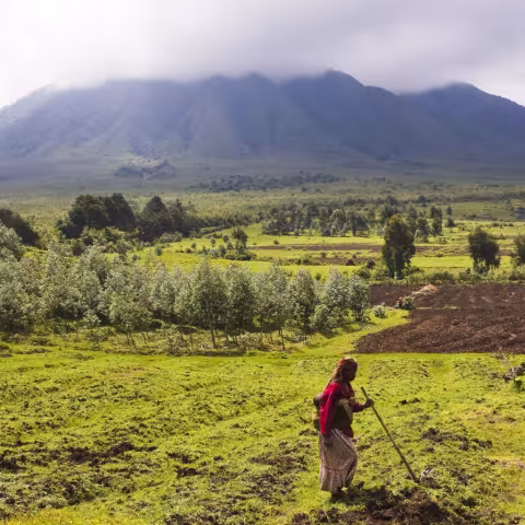 VIRUNGA-PARK.jpg